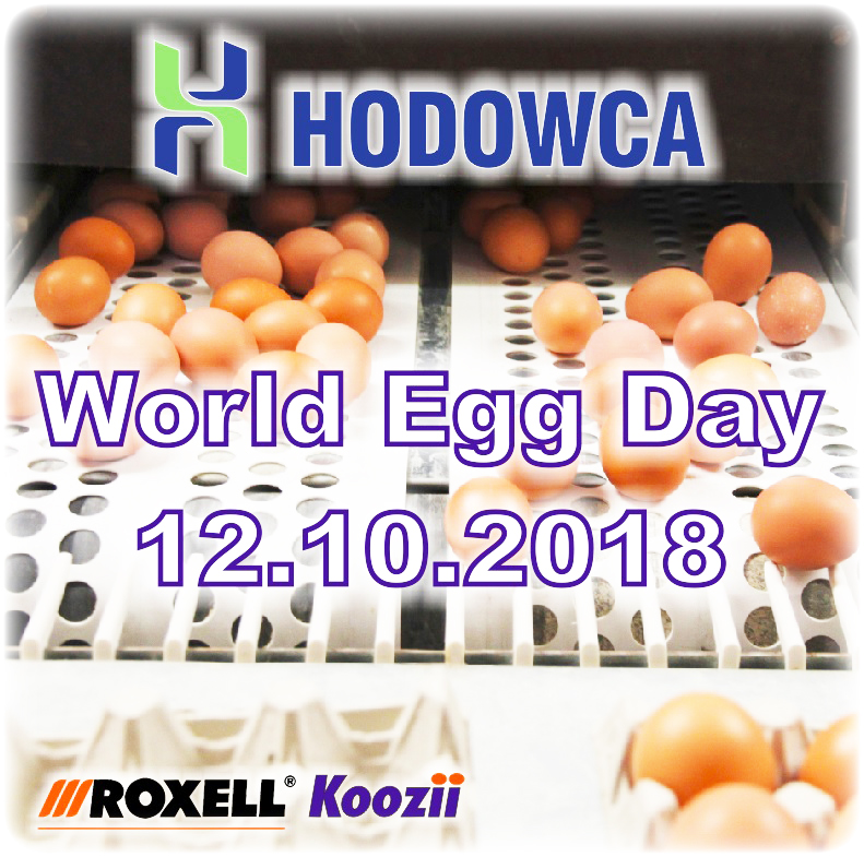  Światowy Dzień Jajka 2018